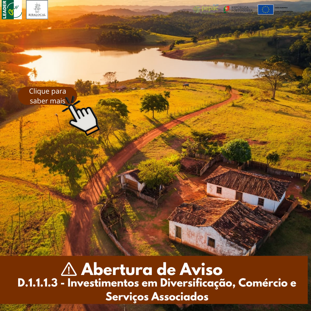Abertura de Aviso D.1.1.1.3